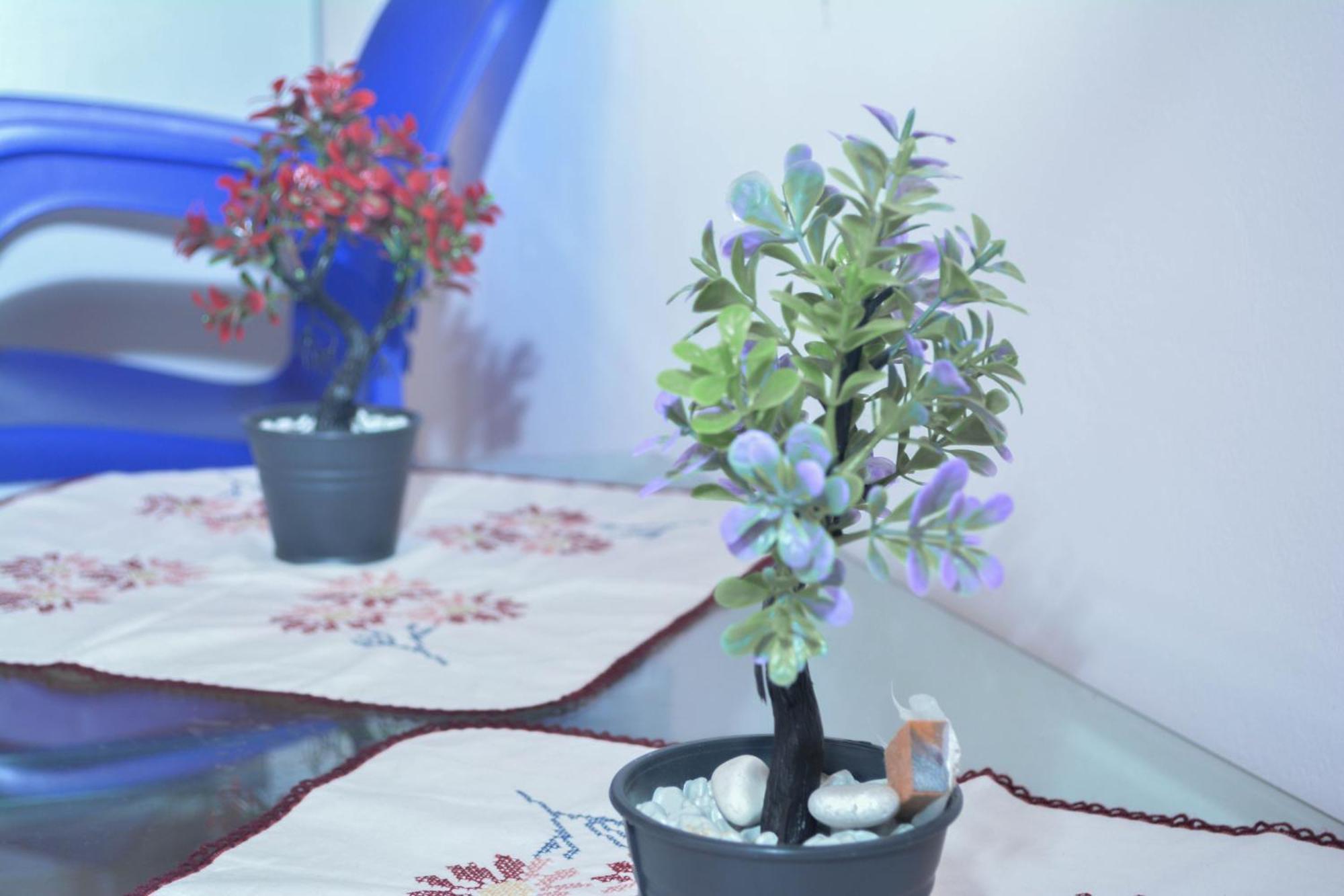 Apartments Villa Luti Stjar 外观 照片